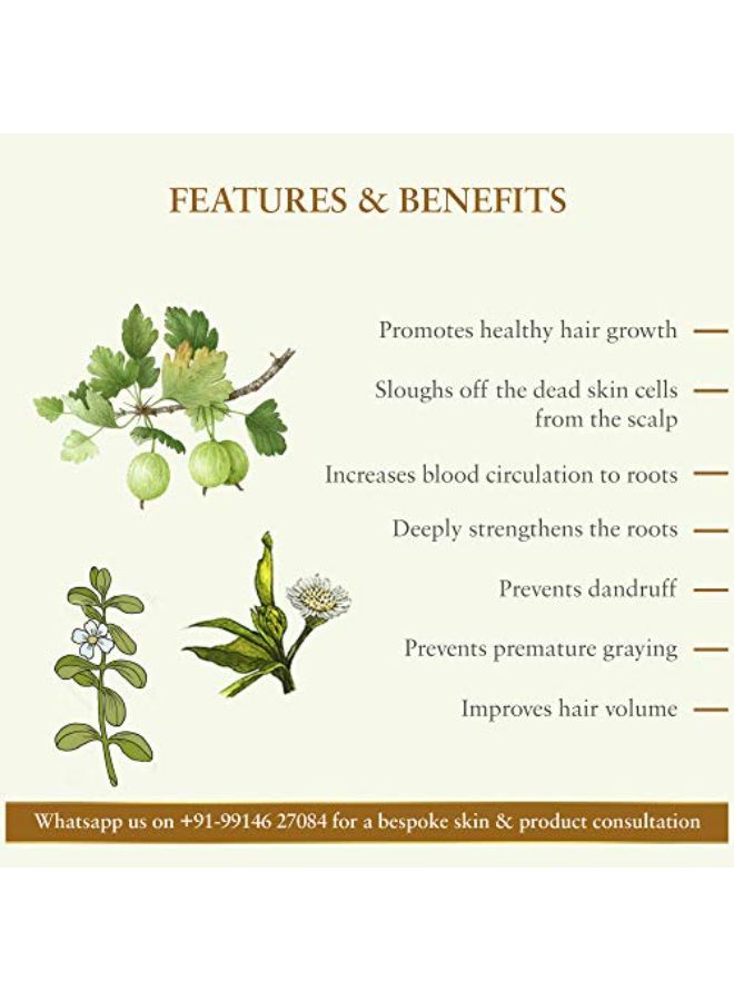 Just Herbs زيت الشعر الأيورفيدي برينغراج لتساقط الشعر ونمو الشعر للرجال والنساء - خالي من SLS والزيوت المعدنية والبارابين 100 مل - Image 4