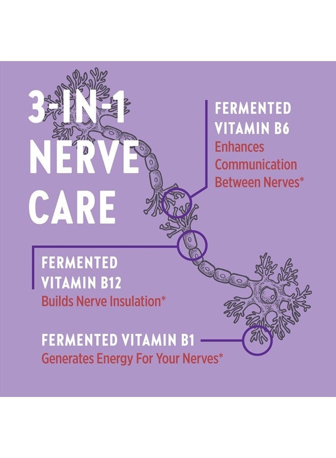 New Chapter مكمل صحة الأعصاب لدعم الأعصاب 3 في 1 من الرأس إلى القدم - فيتامين ب1 يولد الطاقة للأعصاب، فيتامين ب6 يعزز التواصل العصبي، فيتامين ب12 يبني عزل الأعصاب، 30 حبة - Image 3
