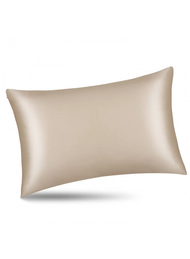 ALASKA BEAR Natural Silk Pillowcase, Hypoallergenic, 19 Momme, 600 Thread Count 100 Percent Mulberry Silk, King Size with Hidden Zipper (1,Champagne Gold) - Image 1