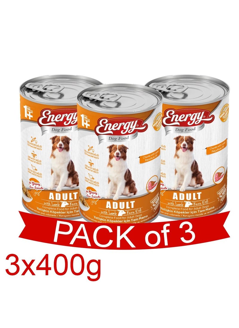 ENERGY Adult Wet Dog Food with Lamb - 3 Cans - pzsku/ZF40E688642D8995EA1D3Z/45/_/1680709626/4052438c-0f58-4e7d-a647-083c0c3c265b