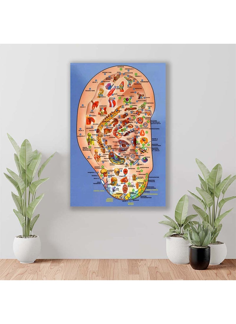 British Terminal British Terminal Ear Point Accupressure Waterproof Vinyl Sticker Poster 24X18 inches btcan11612  - Image 1