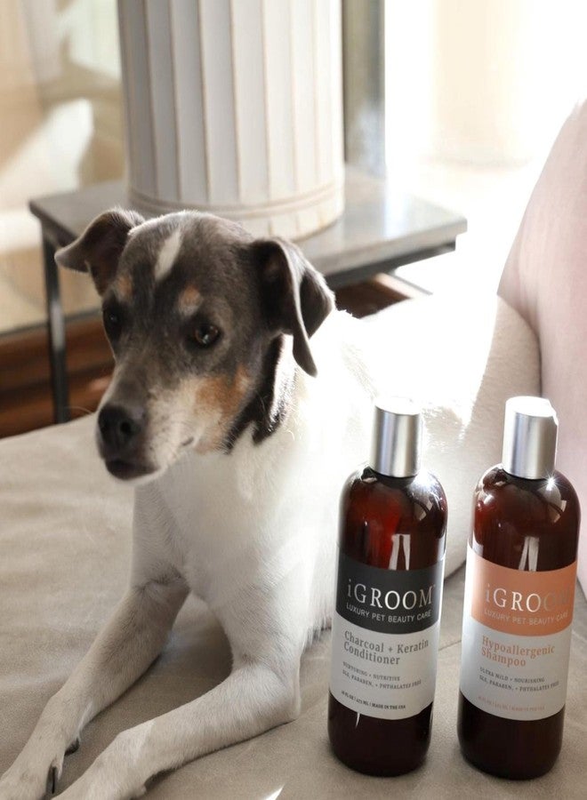 iGroom Hypoallergenic Dog Shampoo, Luxury Pet Beauty Care, Extra Mild Formula, Keratin + Vegetable Proteins Add Moisture, Made in USA, 16oz - Image 2