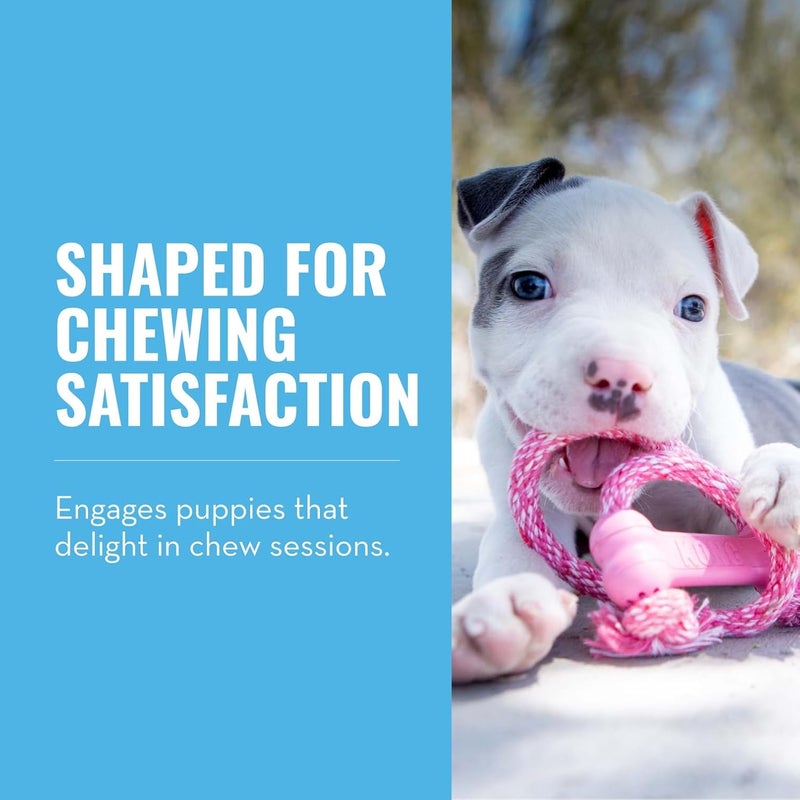 KONG - Puppy Goodie Bone with Rope - Teething Rubber, Teeth Cleaning Dog Toy - for X-Small Puppies - Pink - Image 2