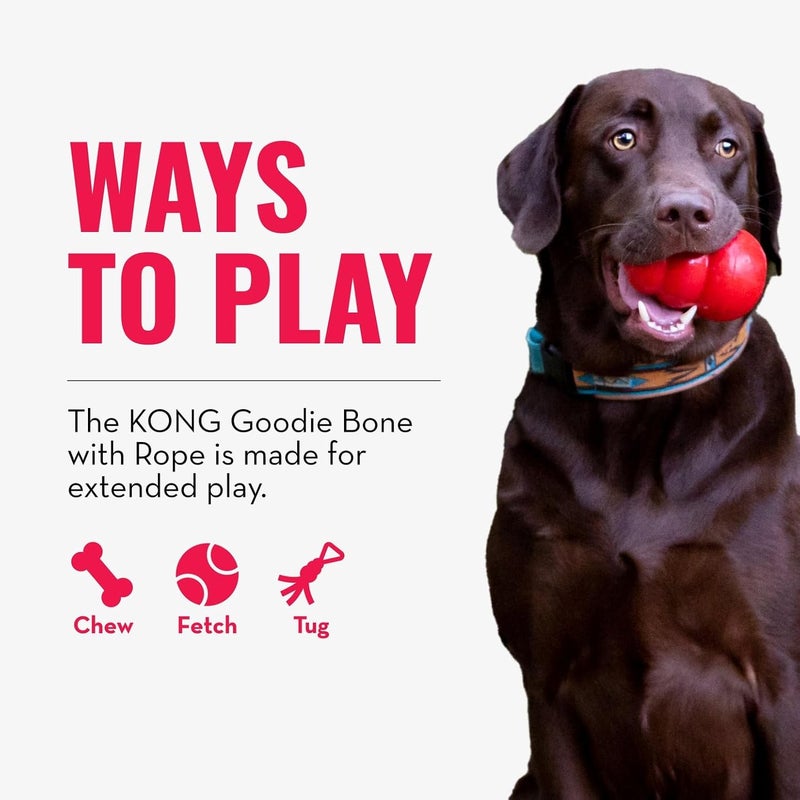 KONG - Puppy Goodie Bone with Rope - Teething Rubber, Teeth Cleaning Dog Toy - for X-Small Puppies - Pink - Image 4