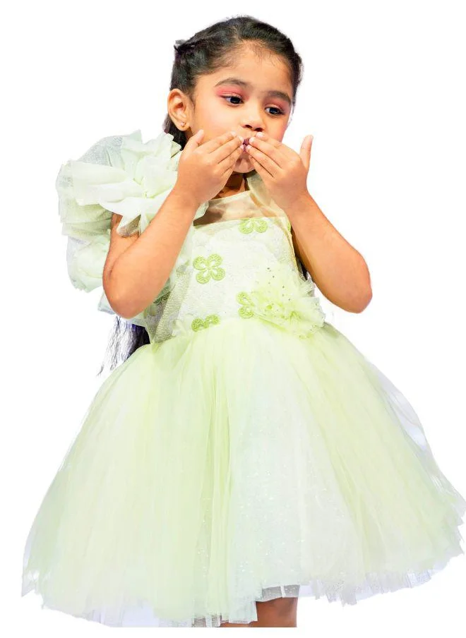 بيبي كلو Elegant Lime Blossom Delicate Green Tulle Dress with Floral Accents