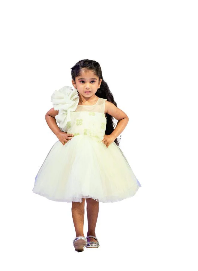 بيبي كلو Elegant Lime Blossom Delicate Green Tulle Dress with Floral Accents