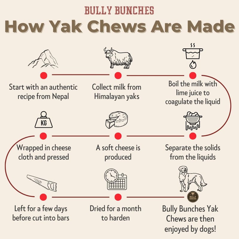 Bully Bunches Premium Fruit-Flavored Himalayan Yak Chew for Dogs - 100g, All-Natural, Long-Lasting, Authentic Yak Milk, Healthy Dental Chew, High-Protein (Medium Assorted - 4PK, Assorted) - Image 3