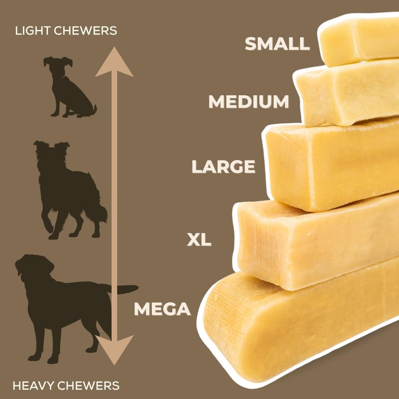 Bully Bunches Premium Fruit-Flavored Himalayan Yak Chew for Dogs - 100g, All-Natural, Long-Lasting, Authentic Yak Milk, Healthy Dental Chew, High-Protein (Medium Assorted - 4PK, Assorted) - Image 2