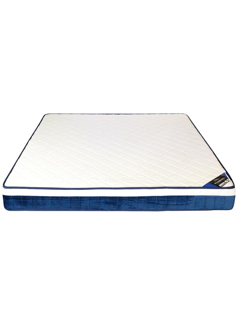 THE MATTRESS FACTORY Panorama- Premium Medicated Mattress with HD Foam Layer  - Image 3