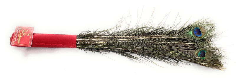 Achleshwar Bunch of 10 Real Peacock Feathers/Moor Pankha Broom/Jhadu for Mandir Cleaning/Suitable for Nazar Suraksha - Image 2