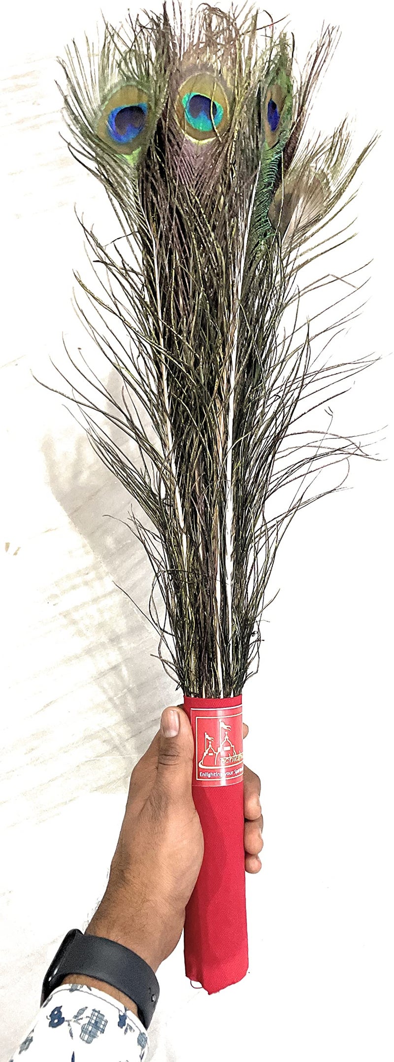 Achleshwar Bunch of 10 Real Peacock Feathers/Moor Pankha Broom/Jhadu for Mandir Cleaning/Suitable for Nazar Suraksha - Image 4