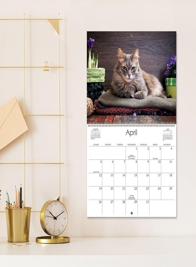 Current 2026 Love Those Cats Wall Calendar, 12-Inch x 9-Inch Size Closed, 18-Inch Size Open, Large Bookstore-Quality, Spiral-Bound Hanging Monthly Wall Calendars for Kitchen & Office - Image 5