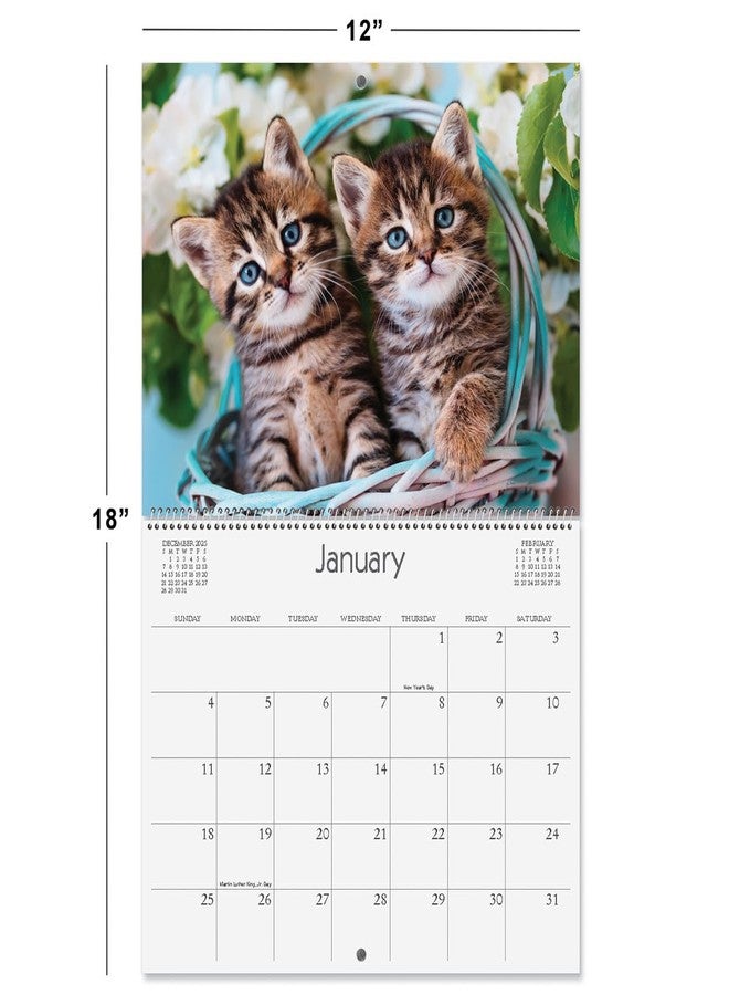 Current 2026 Love Those Cats Wall Calendar, 12-Inch x 9-Inch Size Closed, 18-Inch Size Open, Large Bookstore-Quality, Spiral-Bound Hanging Monthly Wall Calendars for Kitchen & Office - Image 2