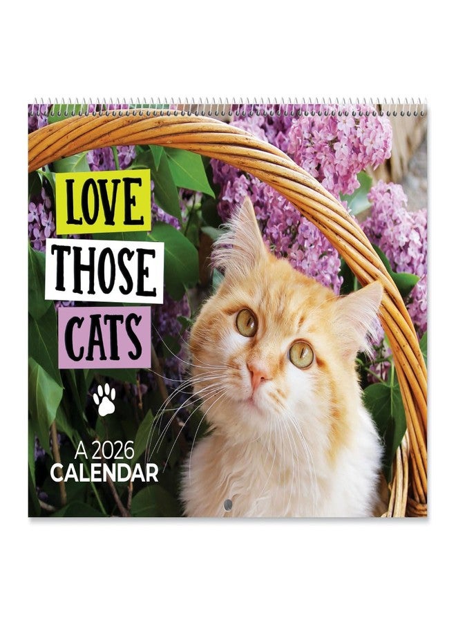 Current 2026 Love Those Cats Wall Calendar, 12-Inch x 9-Inch Size Closed, 18-Inch Size Open, Large Bookstore-Quality, Spiral-Bound Hanging Monthly Wall Calendars for Kitchen & Office - Image 1