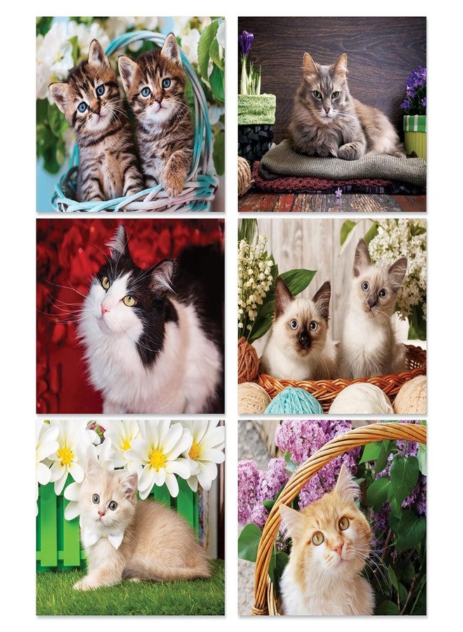 Current 2026 Love Those Cats Wall Calendar, 12-Inch x 9-Inch Size Closed, 18-Inch Size Open, Large Bookstore-Quality, Spiral-Bound Hanging Monthly Wall Calendars for Kitchen & Office - Image 3