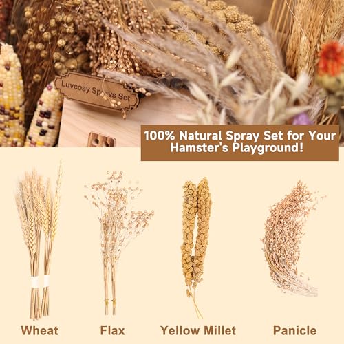 LUVCOSY Hamster Organic Sprays Set = Wheat + Flax + Yellow Millet + Panicle Millet, Pet Habitat Bedding Decor, Natural Hamster Chews Accessories Supplies, for Gerbil, Mice, Guinea Pig, Chinchilla - Image 3