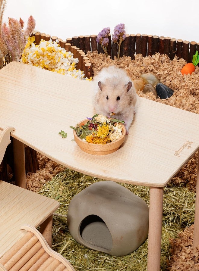Niteangel Hamster Snack & Treats Toy: - Small Animal Natural Treat Mix for Dwarf Syrian Robo Hamsters Gerbils Mice Lemmings Degus or Other Small-Sized Pets (Vegetable Combo - 40g) - Image 4