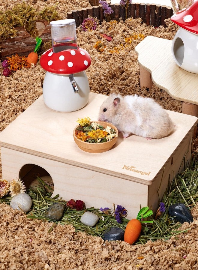 Niteangel Hamster Snack & Treats Toy: - Small Animal Natural Treat Mix for Dwarf Syrian Robo Hamsters Gerbils Mice Lemmings Degus or Other Small-Sized Pets (Vegetable Combo - 40g) - Image 5