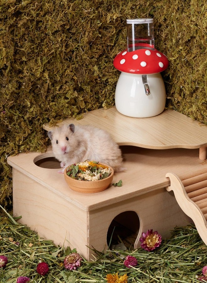 Niteangel Hamster Snack & Treats Toy: - Small Animal Natural Treat Mix for Dwarf Syrian Robo Hamsters Gerbils Mice Lemmings Degus or Other Small-Sized Pets (Vegetable Combo - 40g) - Image 3