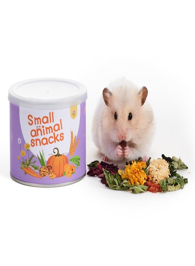 Niteangel Hamster Snack & Treats Toy: - Small Animal Natural Treat Mix for Dwarf Syrian Robo Hamsters Gerbils Mice Lemmings Degus or Other Small-Sized Pets (Vegetable Combo - 40g) - Image 1