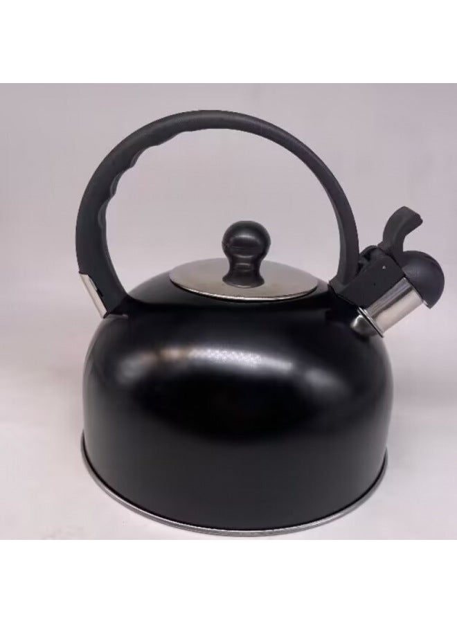 Wild Teapot Cap Explosion-proof Travel Household Stainless Steel Flat Bottom Sound Kettle Induction Cooker Gas Stove Free Shipping-Color:European Handle Black 4 Liters-Capacity:Default  - Image 1