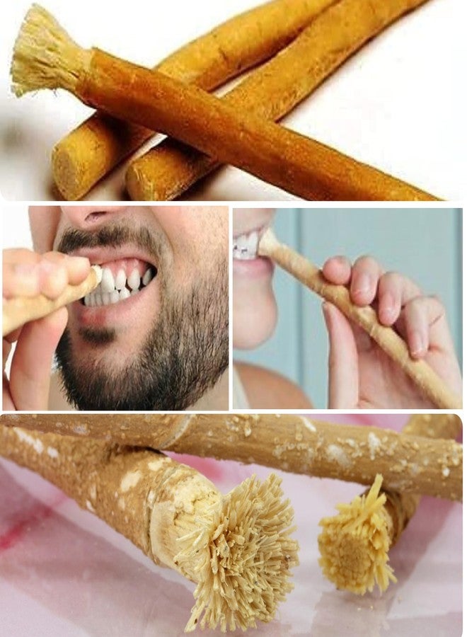 NMEXX Natural Traditional Miswak/Sewak Peelu Chewing Stick Toothbrush Light Weight (Pack of 10) - Image 3