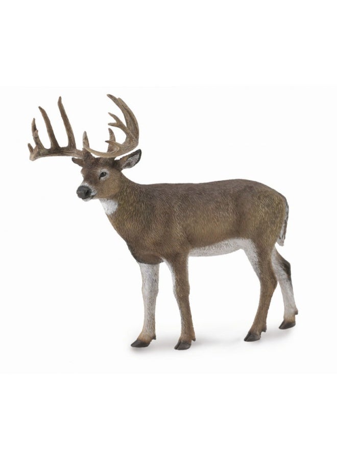 Collecta - White-Tailed Deer - 88832