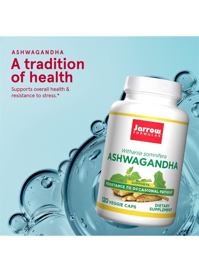 jarrow formulas Ashwagandha 300 mg- 120 Veggie Capsules- Overall Health & Resistance to Fatigue- Supplement Supports Endurance, Muscle Recovery & Cognitive Health- 60 Servings (PACKAGING MAY VARY) - Image 2