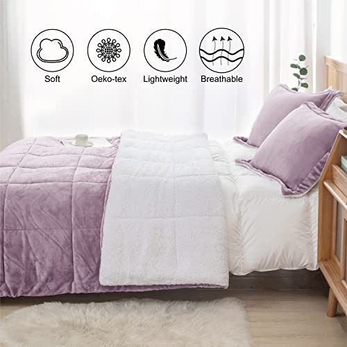 Seward Park Lavender Purple Fuzzy Sherpa Comforter Set Full Queen Size, Soft Fall Winter All Season Girls Bedding Comforter Sets 3 Piece (1 Comforter and 2 Pillow Shams) - Image 2