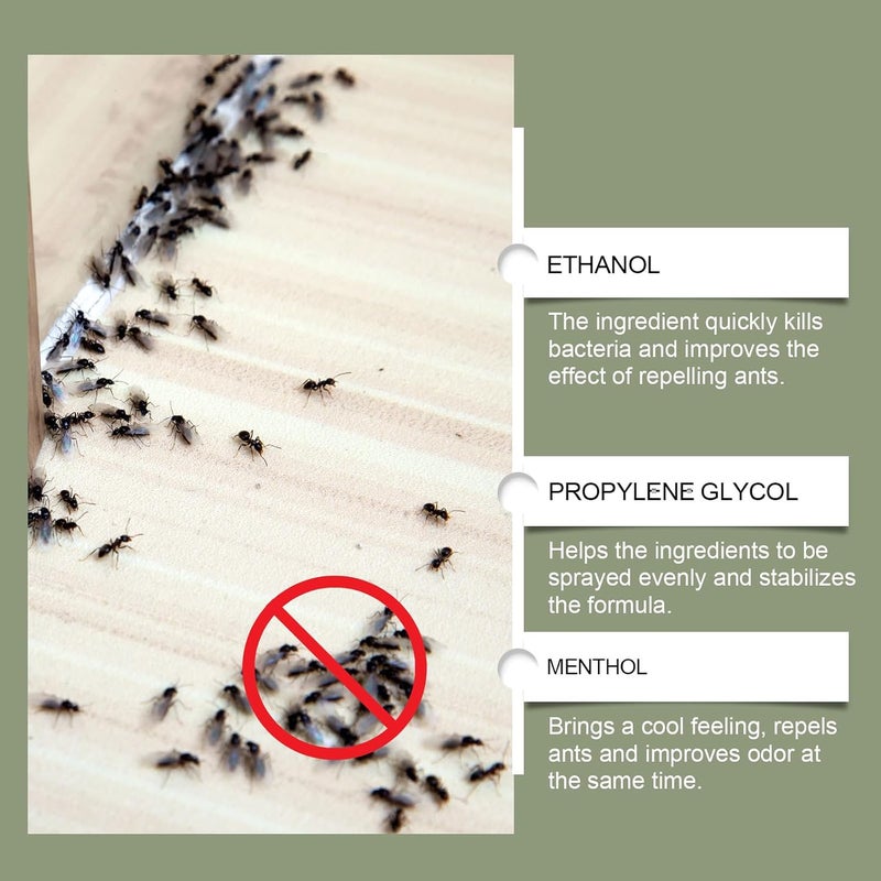 Makbeaty Ant Repellent Spray | Ant Repellent Ant Trap,Works on All Ant Types | For Home, Kitchen, Office & Garden,Pet-Friendly, Eco-friendly (60ML) - Image 3