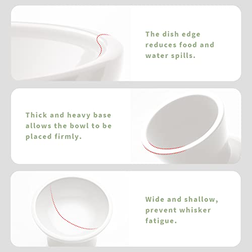 CEEFU Extra Wide Elevated Ceramic Cat Bowl, 6.2" Shallow Dish for Whisker Fatigue Relief, 5" Height for Easy Feeding, Durable Raised Cat Food Bowls, Pack of 2, White - Image 4