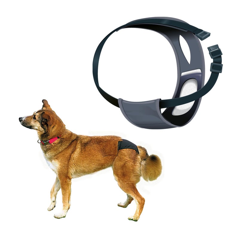 Trixie : - Protective Pants for Female Dogs | Designed for Dogs in The Season to Prevent Staining of Carpets & Other Fabrics | Handy Snap Clip Makes It Easy to Put On | Washable - M: 40-49cm - Image 1