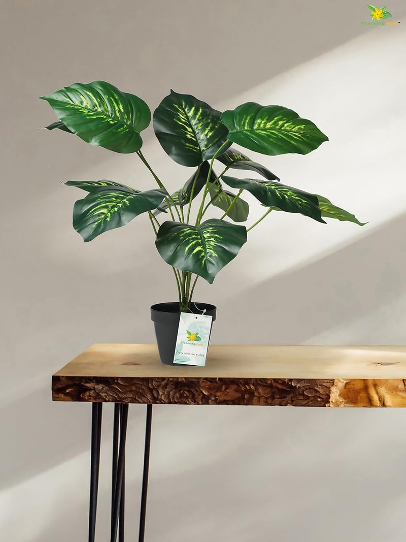 Blooming Floret Artificial Philodendron Plant With Basic Black Pot | 12 Green & Yellow Leaves | Ornamental Plant for Interior, Home & Office Decor | 50.8 cm Short Natural Looking - Image 4