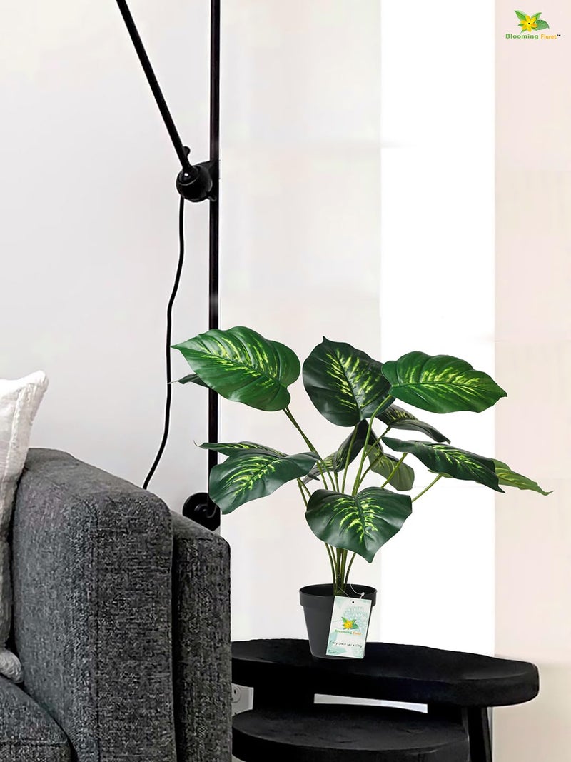 Blooming Floret Artificial Philodendron Plant With Basic Black Pot | 12 Green & Yellow Leaves | Ornamental Plant for Interior, Home & Office Decor | 50.8 cm Short Natural Looking - Image 5