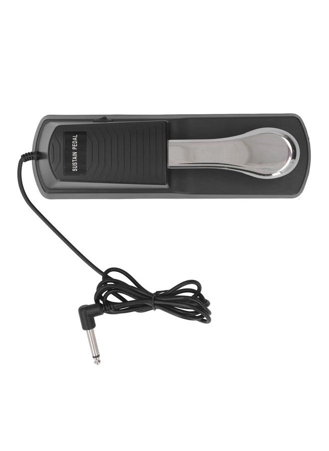 Thoraya - Sustain Pedal Universal Piano Keyboard Replacement Instrument Accessories Portable Non Slip with Striped Shell - Image 1