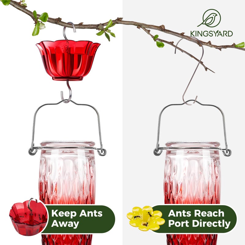 Kingsyard Hummingbird Feeders for Outdoors Hanging, 24 Ounce, Glass Hummingbird Feeder with Ant Moat & 6 Bee Guard Feeding Ports, Leak-Proof, Purple - Image 4