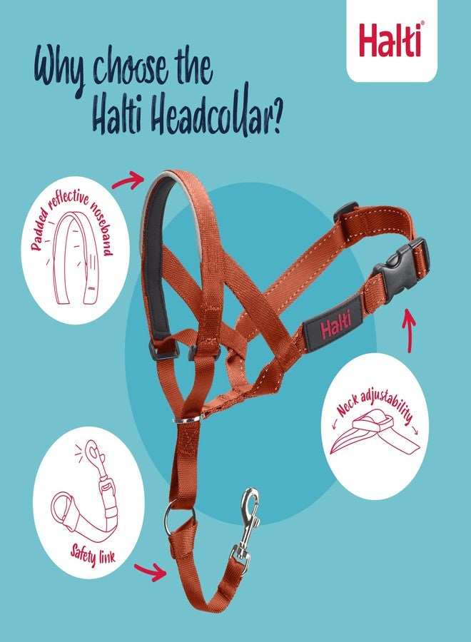 Halti طوق هالتي - يمنع كلبك من شدّ المقود. قابل للتعديل، عاكس للضوء، وخفيف الوزن، مع شريط أنف مبطن. طوق تدريب الكلاب مضاد للشدّ للكلاب الكبيرة (مقاس 4، برتقالي محروق) - Image 3