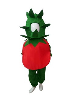 BookMyCostume Tomato Vegetable Kids Fancy Dress Costume 7-8 years