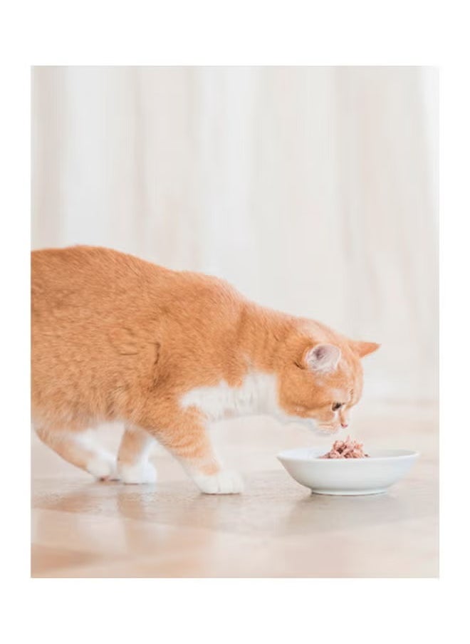 Kit Cat - Carton (24 cans) of boneless chicken Kit Kat with salmon 80g. - Image 1