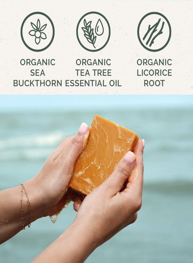 Chagrin Valley Soap & Salve Chagrin Valley Natural Soap Bar - Sea Buckthorn, Organic Tea Tree Oil & Green Tea - Good for Sensitive and Irritated Skin - Large 5.6 oz Face & Bath Soap - Image 2