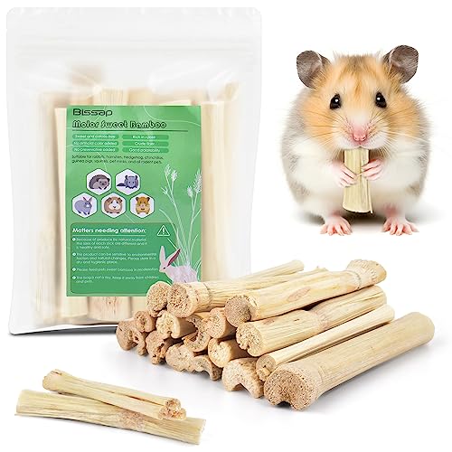Bissap 170g03Ib Sweet Bamboo Sticks for Rabbits Bunny Chew Toys for Rabbits Hamster Chinchilla Guinea Pigs Rabbit Squirrel Small Animals Natural Treats Teeth Grinding Chew Sticks - Image 1