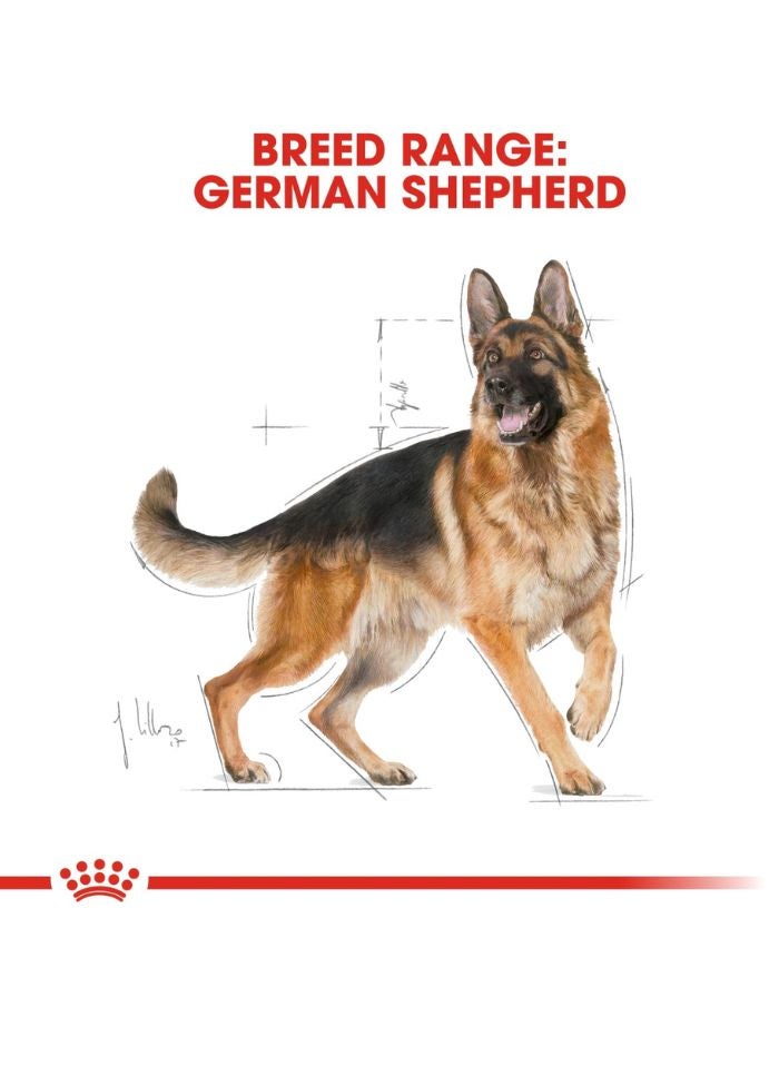 ROYAL CANIN Breed Health Nutrition German Shepherd Adult 11 KG - Image 5