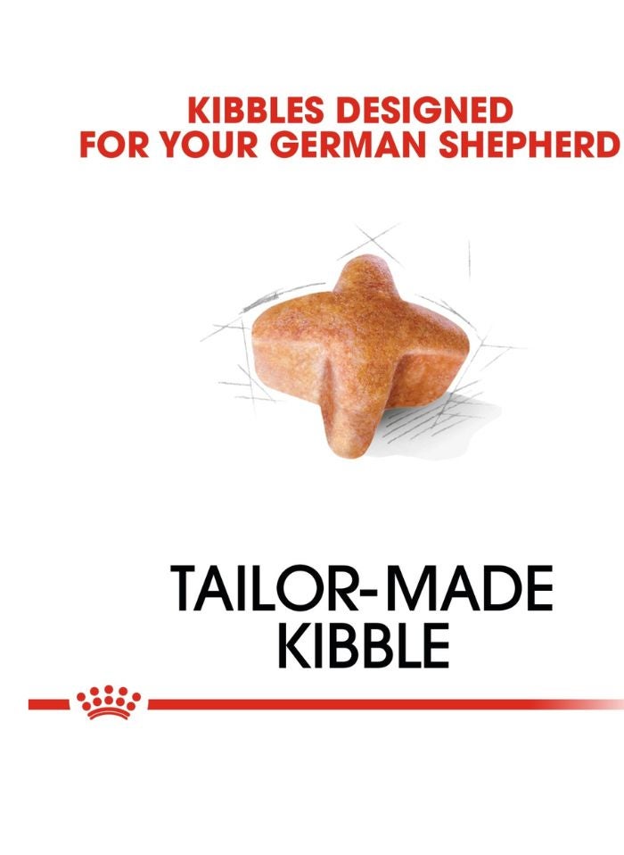 ROYAL CANIN Breed Health Nutrition German Shepherd Adult 11 KG - Image 2