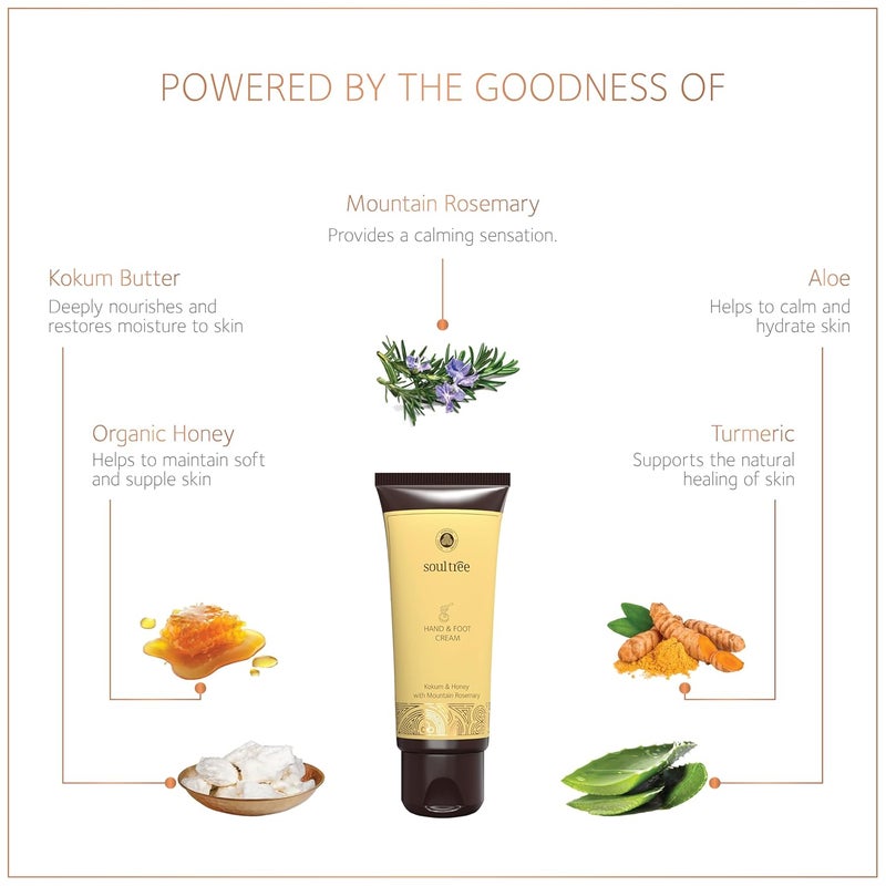 SoulTree Hand Foot Cream With Kokum Honey Mountain Rosemary Provides Intense Moisture to Hands Feet 100gm - Image 2