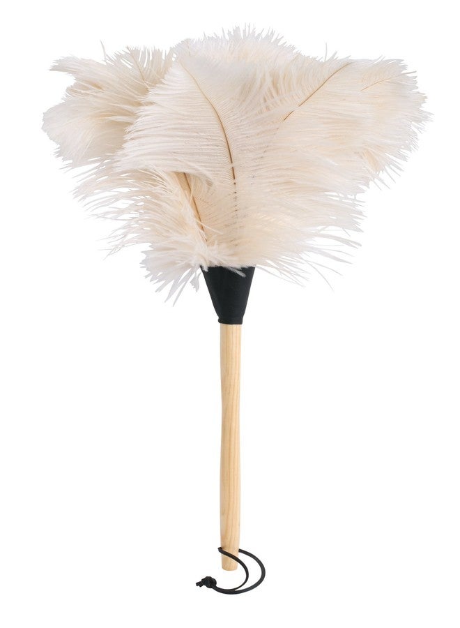Redecker Ostrich Feather Duster with Varnished Wooden Handle, White, 19-3/4-Inches, Set of 2