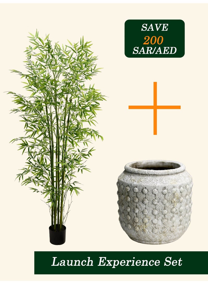 Artificial Bamboo Tree with Pot – Launch Edition - Image 1