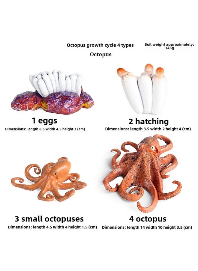 Generic - Children's Solid Simulation Ocean Life Models Great White Shark Megalodon Whale Shark Tiger Blue Whale Toys Ornaments-Color:2437 Big Octopus Growth Cycle (Set Of 4) - Image 1