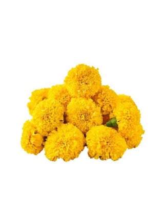 Fresh Marigold Yellow Flowers