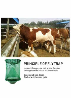 SYOSI Ranch Fly Trap with Bait Tray Outdoor Hanging Reusable Fly Trap Flay Catcher Cage for Indoor or Outdoor Family Farms Park Restaurants (Green  1 Pack)  - Image 3