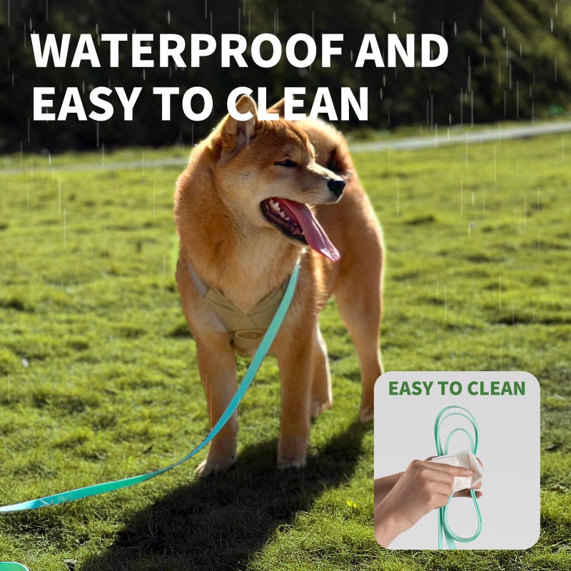 AUMAILI Dog Training Long Leash Waterproof Long Line Heavy Duty Outdoor Recall Lead 10ft 15ft 20ft 30ft 50ft for Small Medium Large Dog (Mint Green, 10FT) - Image 4
